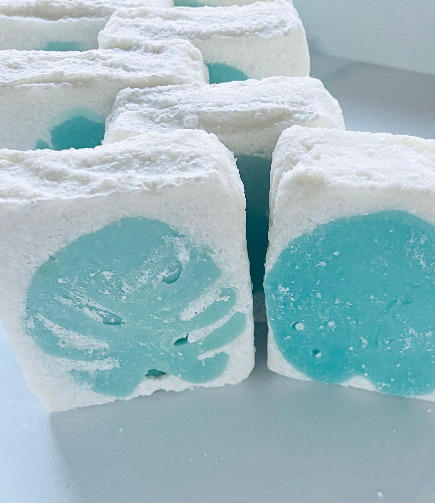 Eucalyptus + Mint Vegan Combination Salt Soap Bar