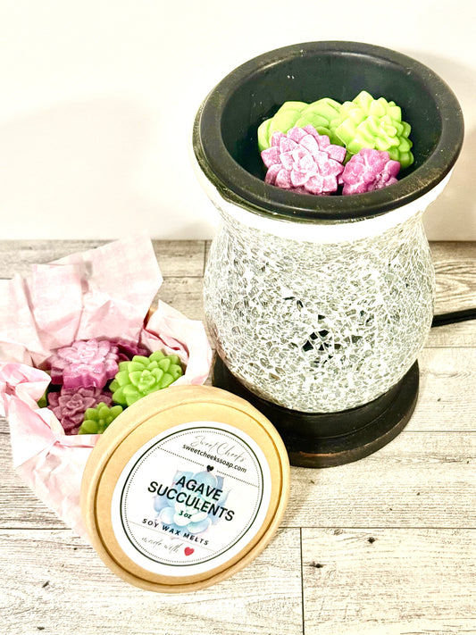 Agave Succulents Soy Wax Melts