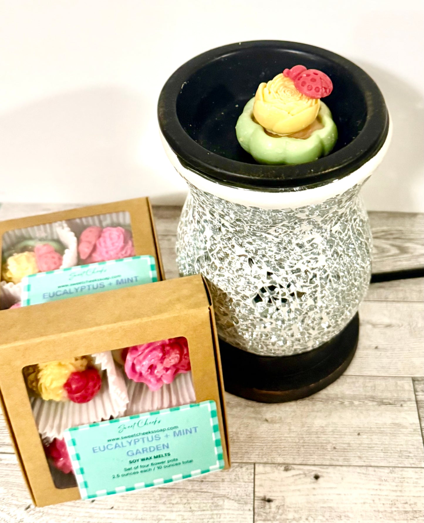 Eucalyptus + Mint Garden Soy Wax Melts