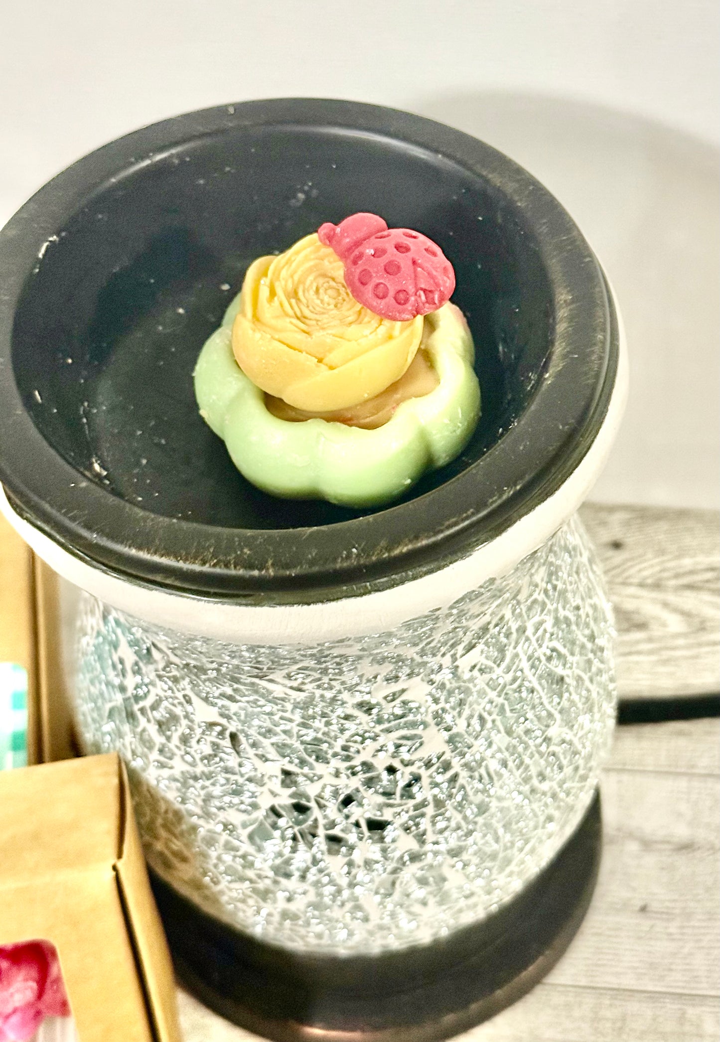 Eucalyptus + Mint Garden Soy Wax Melts