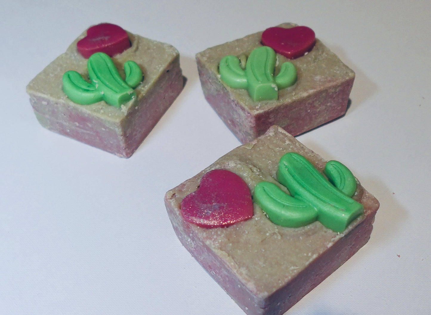 Sweet Cheeks Soap Cactus Salt Bar eco friendly handmade