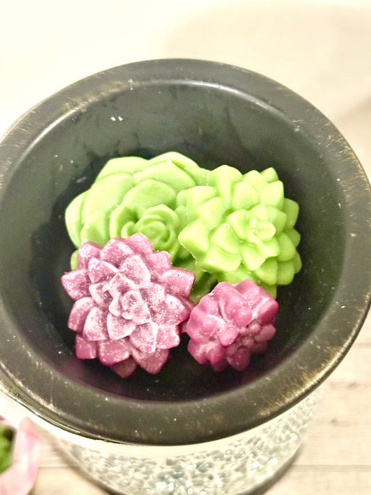 Agave Succulents Soy Wax Melts